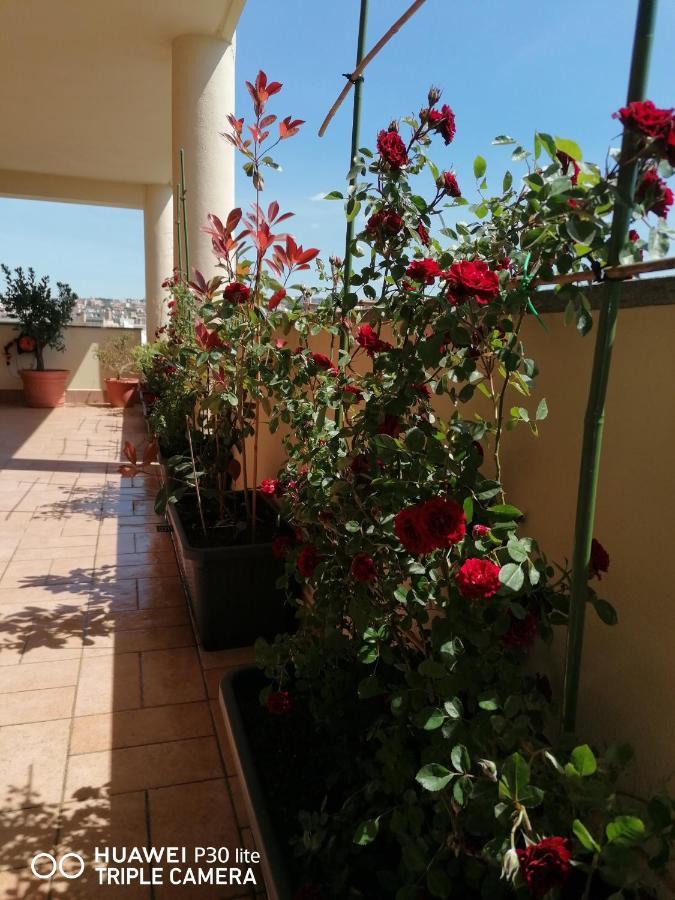 B&Byanet'S Beautiful House Civitavecchia Eksteriør billede